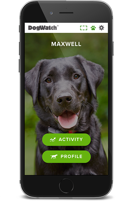 DogWatch of Mid-Florida, Ocala, Florida | SmartFence WebApp Image