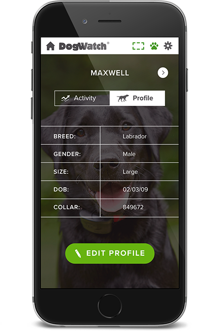 DogWatch of Mid-Florida, Ocala, Florida | SmartFence WebApp Image